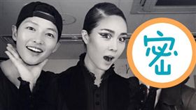  宋仲基 宋慧喬　／翻攝自potluck_official ig