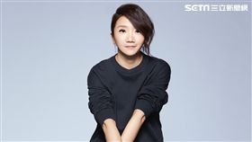 陶晶瑩,金馬獎/台視提供