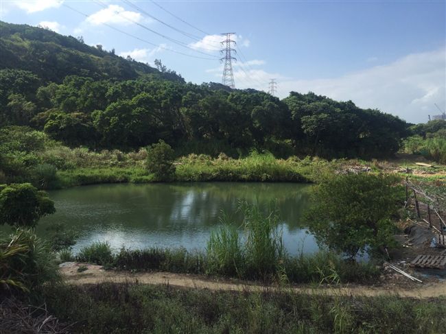 偷釣魚被警逮　硬坳：沒釣到哪算偷？