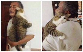 移情別戀！工作忙托阿公顧貓　接回家時竟抱著阿公不肯走（圖／翻攝自微博）