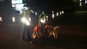 現代版忠犬小八！黃金獵犬吼叫引注意　周圍徘迴守護主人
圖翻攝自花蓮縣警察局玉里分局臉書
https://www.facebook.com/yulipolicestation/posts/1442567039145654