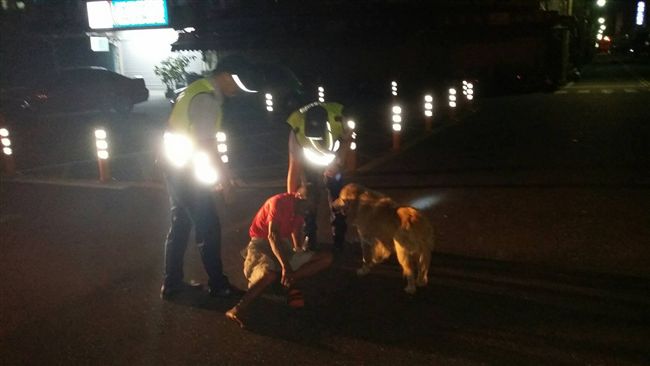 台灣版忠犬小八！徘迴守護醉倒主人