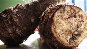 芋頭（圖／攝影者lovesx-70, flickr CC License）
https://www.flickr.com/photos/yu_chuan/2762318919/