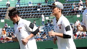 陽岱鋼。（圖／翻攝自巨人推特）