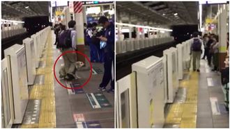 導盲犬遭主人踹頭　仍夾尾乖乖引路