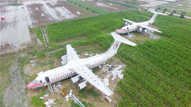 土豪砸千萬買2飛機　停田裡免費參觀