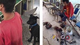 台南新營派出所警犬「小黑」，協助戒護偷紅龍果犯人（圖／翻攝自臺南市政府警察局新營分局臉書）