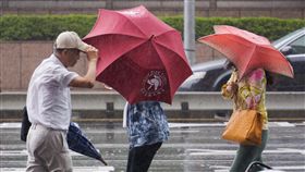 氣象局發布豪雨特報（2）東北風與輕颱卡努產生共伴效應，13日台灣東半部、北部、南部都易有強降雨，中央氣象局上午發布8縣市大雨及豪雨特報，包括宜蘭、台北市部分地區上午累積雨量都已破百毫米，市區起強風並下起大雨。中央社記者裴禛攝  106年10月13日