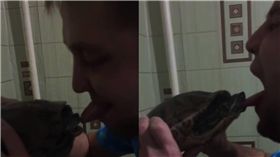 烏龜,寵物,俄羅斯,親吻,舌頭　圖／翻攝自YouTube