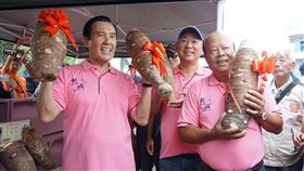 馬英九出席金門烈嶼芋頭季活動（2）金門烈嶼鄉年度盛會「芋頭季」活動14日登場，前總統馬英九（左）到場共襄盛舉，和烈嶼鄉鄉長洪成發（前右）分別抱著今年得獎芋頭，開心合影。中央社記者黃慧敏攝　106年10月14日