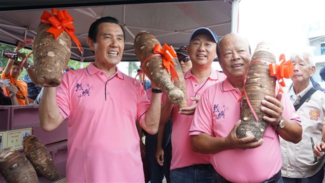 芋頭像砲彈　馬英九驚：沒想到這麼大