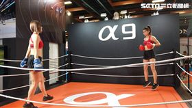 葉立斌攝　2017台北國際攝影器材暨影像應用大展　Canon 台灣佳能 nikon 正成集團