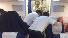 大陸,昆明,出入境,航機,飛機,蟑螂,德國,細菌,傳染病,微生物　圖／翻攝自中新網　https://goo.gl/nx6PLZ