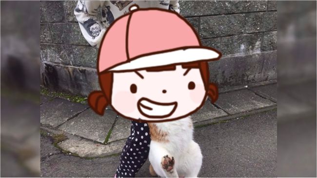 貓皇巡天下被捕！竟露出「這表情」