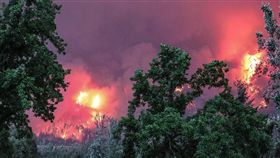 球員,美國,加州,洛杉磯,森林,野火,火災,火勢,高爾夫球,淡定,違和
https://www.facebook.com/BeaconRockGolfCourse/photos/a.548086271962544.1073741830.386616264776213/1241028496001648/?type=3&theater