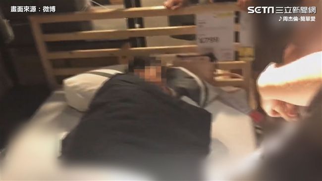 傻眼貓咪！直擊賣場「蹭睡族」醜態