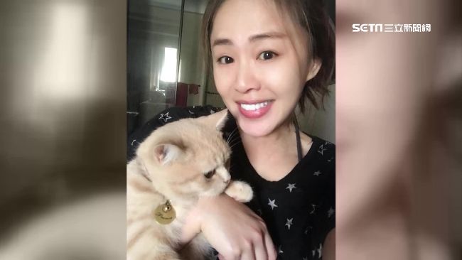 感情空窗期成貓奴　李婉鈺母愛大噴發