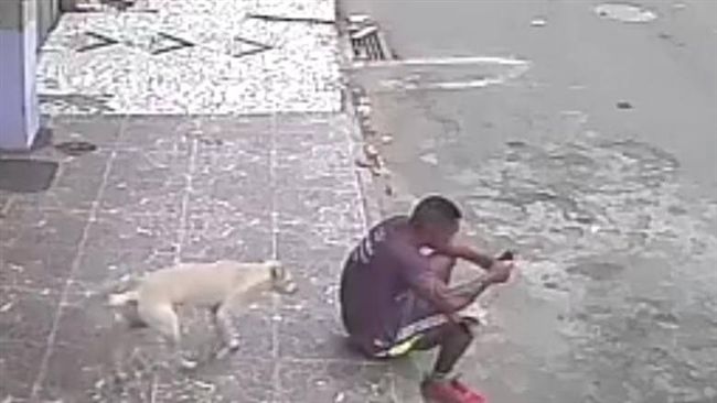 男滑手機太認真　汪汪抬腳尿在他身上