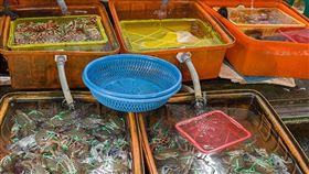 帶外國朋友開眼界！看沙洲吃活蟹，人氣漁港四玩法！
