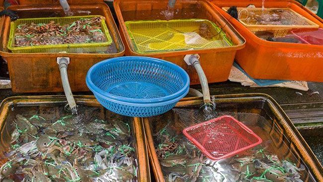 看沙洲吃活蟹！人氣漁港四玩法