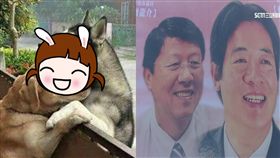  臉書粉絲團「爆料公社」貼上2隻毛小孩相擁的畫面，要網友「用4個字形容一下」，其中最受歡迎的留言則是「清德龍介」（圖／翻攝自爆料公社臉書粉絲團、資料照）