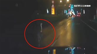 小鴕鳥省道大逃亡　警傻眼：頭大了