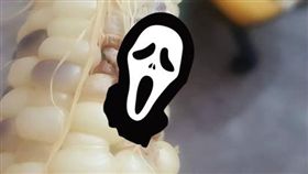 有網友在啃玉米時，突然撞見蟲子在和他分食，沒想到網友淡定的將死蟲取出繼續吃，還大讚超級好吃，其他內行的網友看後紛紛認同，還留言「有蟲的比較甜！」（圖／翻攝自爆廢公社三館）