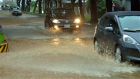 雨彈轟台東30小時　綠色隧道變黃河（1）台東市區14日暴雨不斷，四處積水，知名的綠色隧道宛如「黃河」。中央社記者盧太城台東攝　106年10月14日