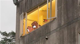 溫泉會館透明景觀窗　竟成「春光步道」景色、老漢推車、河邊戲水／鏡週刊