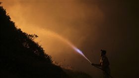 葡萄牙森林大火　一天內至少27死（圖／美聯社／達志影像）