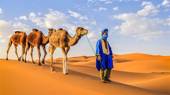 悠遊以約、摩洛哥　晴天旅遊獲金旅獎