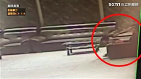 女童,單親媽,扯頭髮