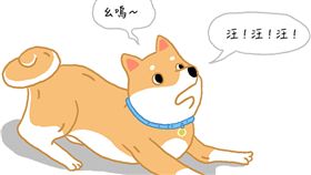 名家／毛起來／一看到陌生人就狂叫？狗狗吠叫5大原因