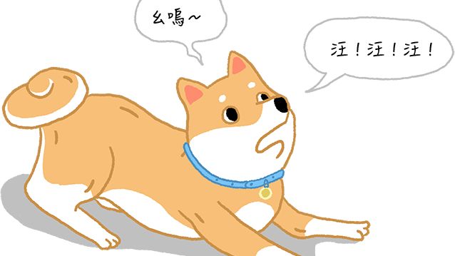 看到陌生人就狂叫？狗狗吠叫5大原因