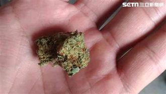 塑廢料掩飾　台越聯手破獲百公斤大麻