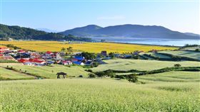 南韓全羅南道·光州（圖／翻攝自全羅南道·光州FB粉絲專頁）