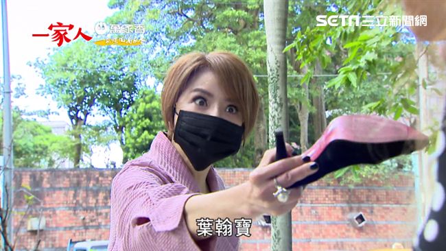 許家惡婆回歸！對尬瘋媽美淑鹿死誰手