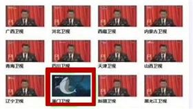 中共十九大…各家電視台忙轉播　唯獨這家電視台播「鯊魚」
圖/翻攝自微博