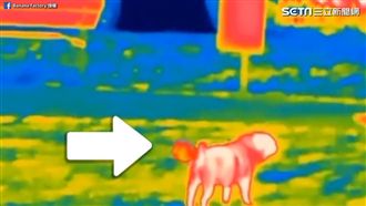 狗狗放屁長這樣？熱像儀畫面笑翻網友