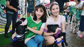 伊林模特兒「Ring」紀艾希/翻攝自臉書