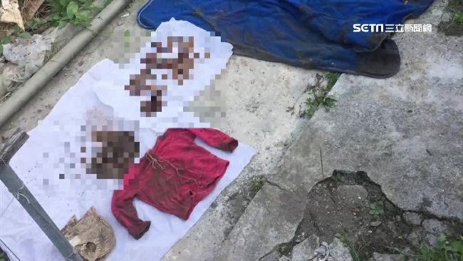 三個孩子被虐死後，政府該做什麼事？