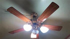 吊扇,圖翻攝自假日居家預約施工，監控、照明、客製化櫃子設計臉書