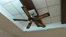 吊扇,圖/翻攝自頂讓-二手生財器具新舊買賣餐飲設備收購