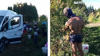 誤入謊言農場？女大生打工換宿變台勞