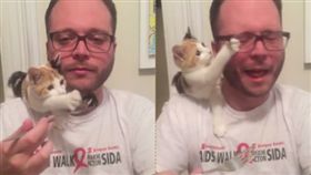 寵物,貓,喵星人,貓貓拳,貪吃,貓咪,打人（圖／翻攝自臉書）