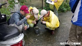 病媒蚊孳生源。（圖／疾管署提供）