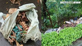 鶯歌區人形骨骸、白骨／翻攝畫面