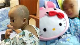 屏東萬丹三死兩傷車禍倖存楊小妹／當事人臉書、資料照