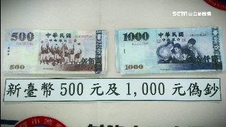 異想天開！婦失業缺錢DIY印假鈔花