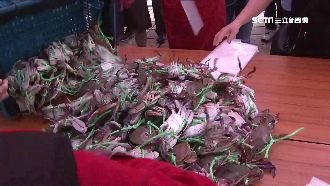 萬里螃蟹季推福袋　下殺5折被搶光